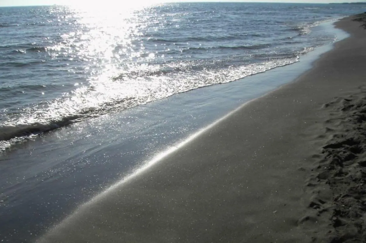 Violetta Hotel Lido di Ostia Gæstehus